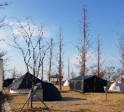 잔디 캠핑