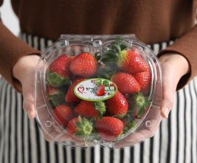 저탄소인증,GAP인증 설향 생딸기 (중)2kg 미리보기 이미지