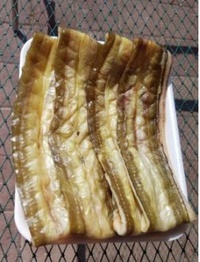 충남 서천 반건조 아나고(붕장어) 4~6미 미리보기 이미지