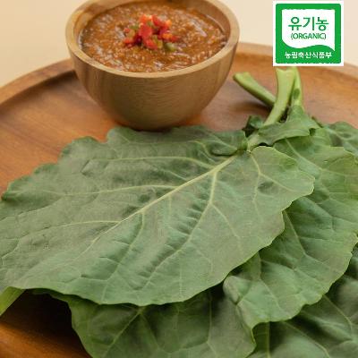 친환경 쌈케일 100g 미리보기 이미지
