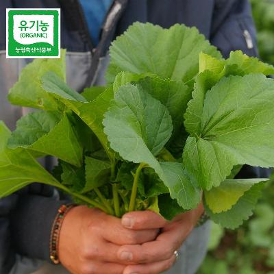 친환경 아욱 150g 미리보기 이미지