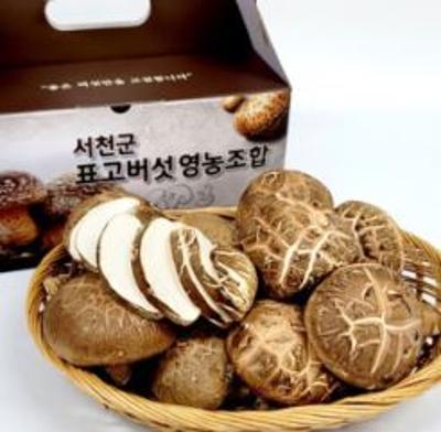 서천 무농약 친환경 생 표고버섯 선물세트 미리보기 이미지
