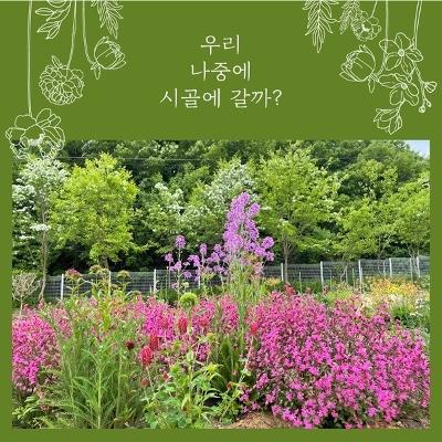 부여여행상품 미리보기 이미지