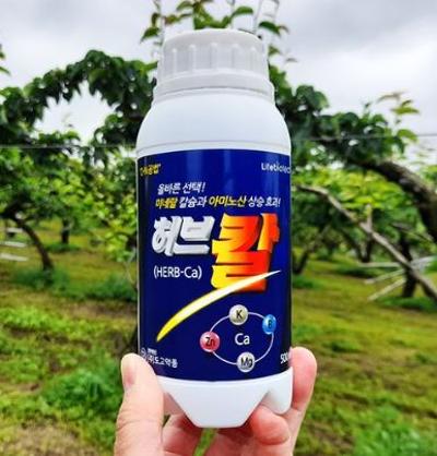 허브칼 500ml 작물 식물영양제 기능성활성제 생육촉진 미네랄칼슘 아미노산 상승효과 미리보기 이미지