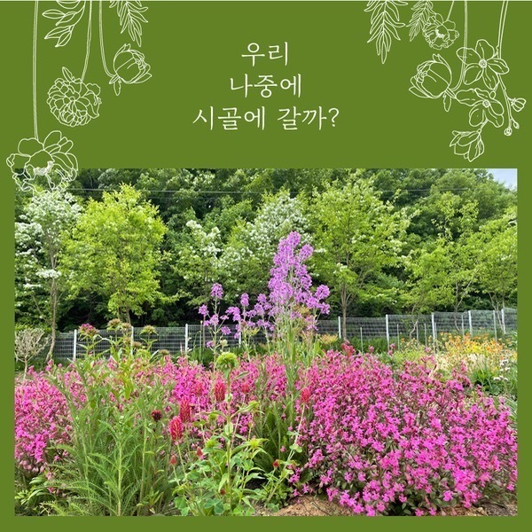 부여여행상품