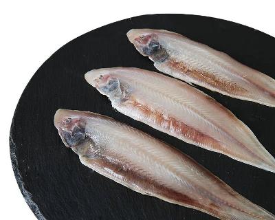 서천장터 모시촌 항만박대(한입박대) 600g(20-30미) 산지직송 미리보기 이미지