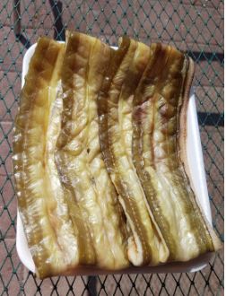 충남 서천 반건조 아나고(붕장어) 4~6미