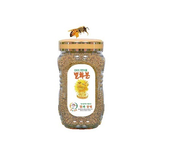 1Kg 야생화 화분