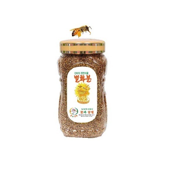 1Kg 다래 화분