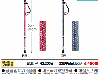 지팡이 이틱