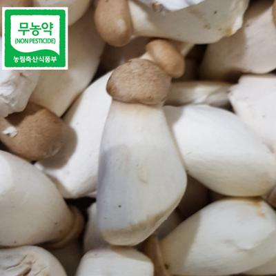 무농약 미니 새송이 300g 미리보기 이미지