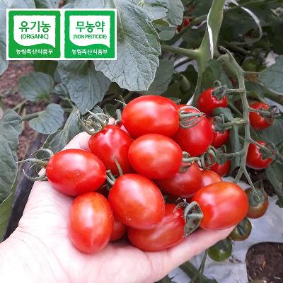 생미 유기농 대추 방울토마토 3kg 미리보기 이미지