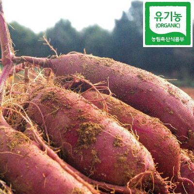친환경 고구마 900g 미리보기 이미지