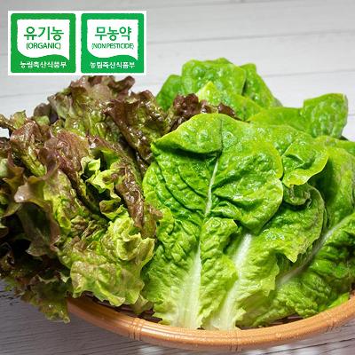 친환경 농산물 상추 100g 미리보기 이미지