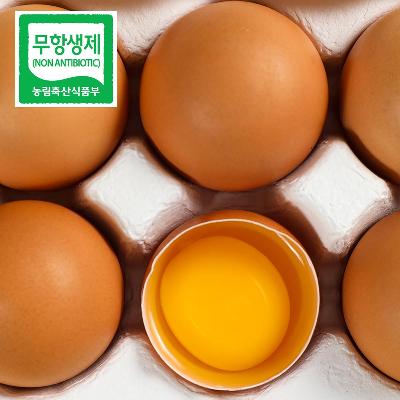 무항상제 유정란 10구 미리보기 이미지