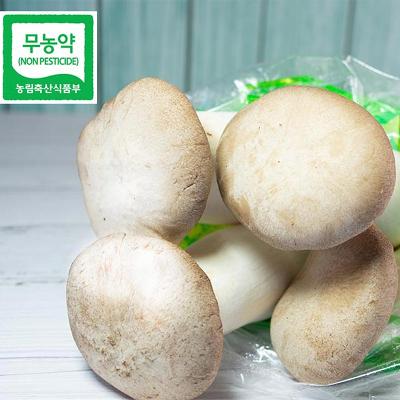 친환경 새송이 400g 미리보기 이미지