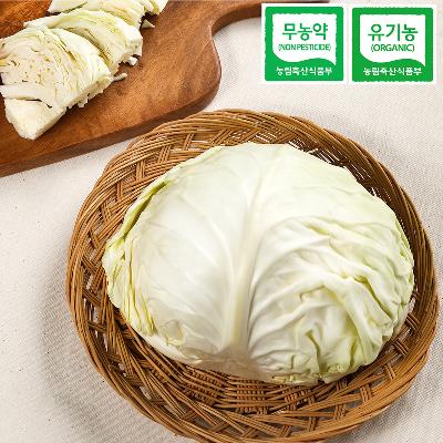 친환경 양배추 미리보기 이미지