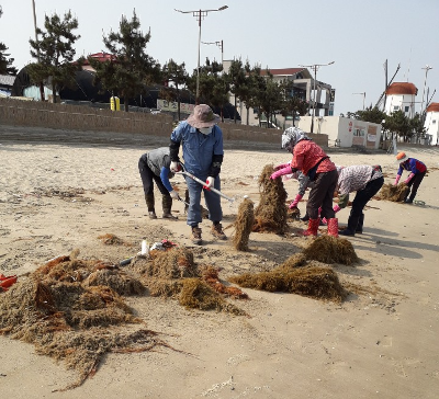 청소사업 - 관광지 및 공원관리 미리보기 이미지