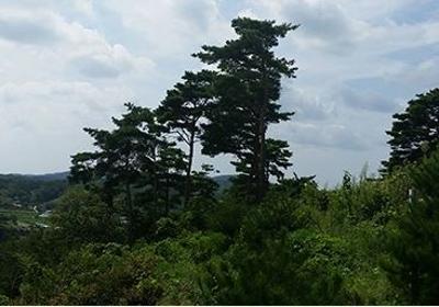 보개산체험 미리보기 이미지