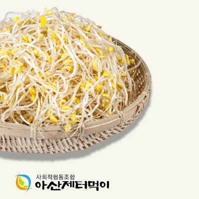 무농약 콩나물 미리보기 이미지
