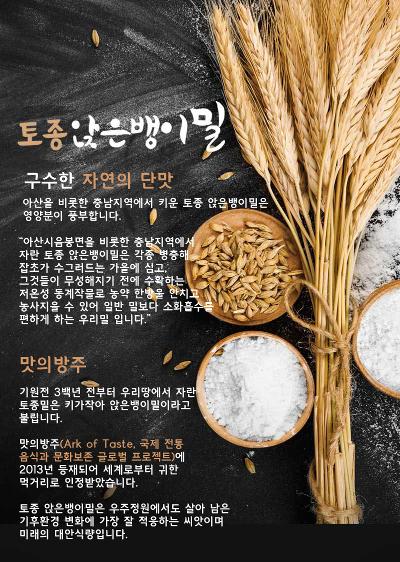 토종 앉은뱅이 밀 미리보기 이미지