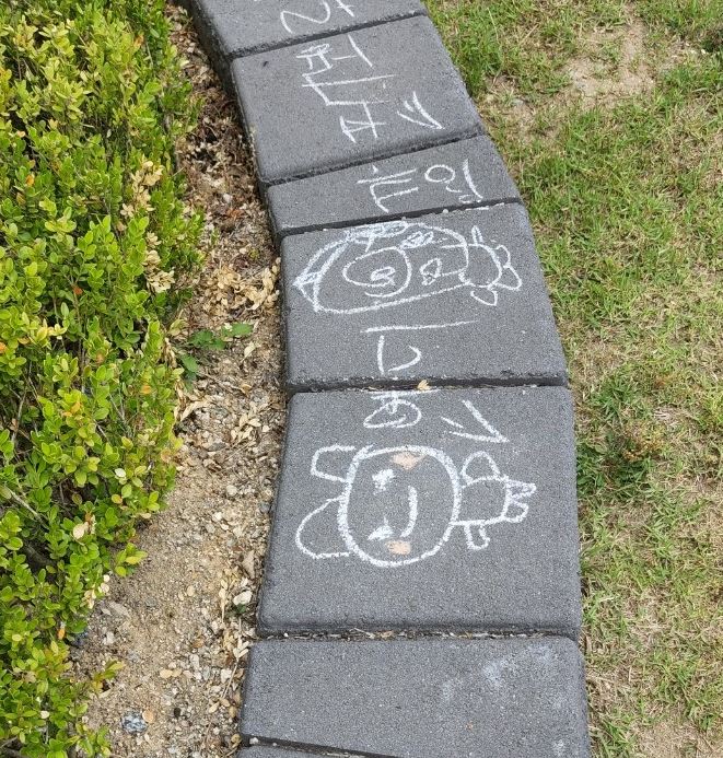 숲놀이
