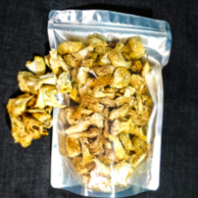 노루궁뎅이버섯 말린것 100g/건조노루궁뎅이버섯 100g/비비팜농장 미리보기 이미지