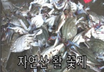 꽃게 - 2kg 미리보기 이미지