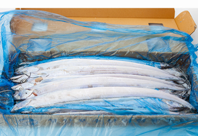 선동갈치 31-33미(마리당 300g 이상, 1상자 10Kg) 미리보기 이미지